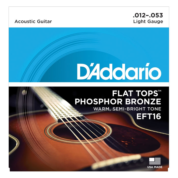 DAddario EFT16 Аксессуары для музыкальных инструментов