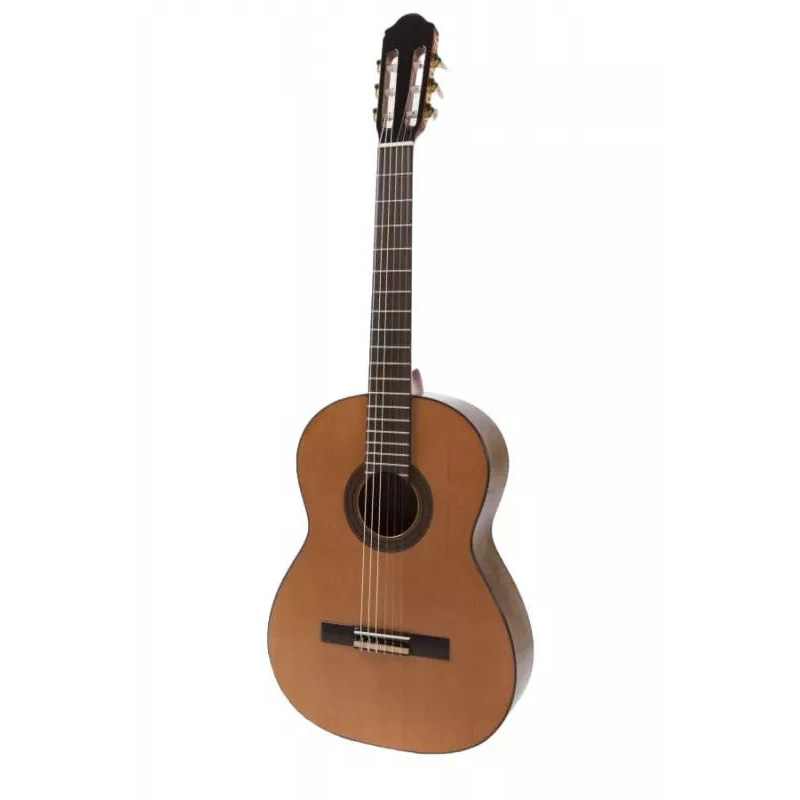 Raimundo R-120E Классические гитары