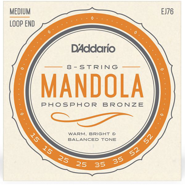 D'Addario EJ76 Народные инструменты