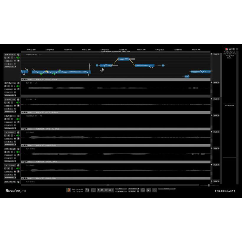 Synchro Arts Revoice Pro Цифровые лицензии