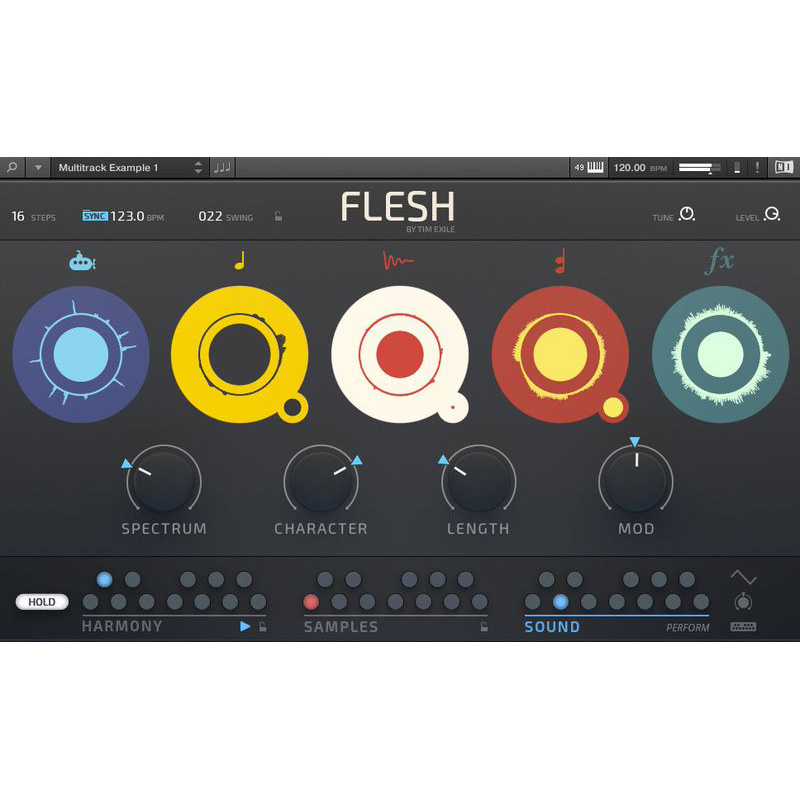 Native Instruments Flesh Цифровые лицензии