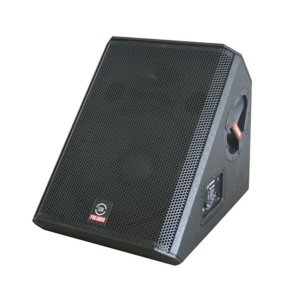 Leem WX-15M Клубная и концертная акустика