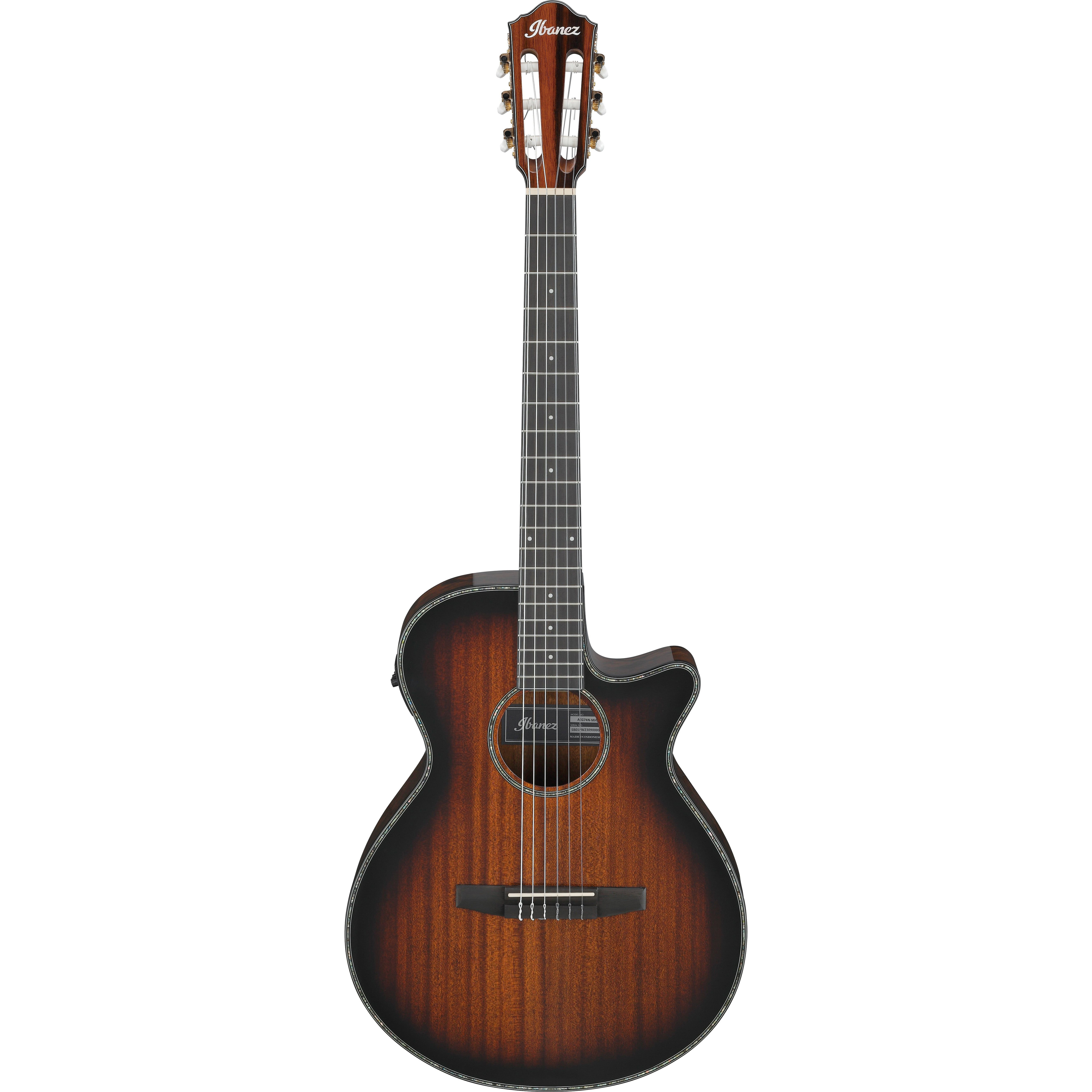 Ibanez AEG74N-MHS Акустические гитары