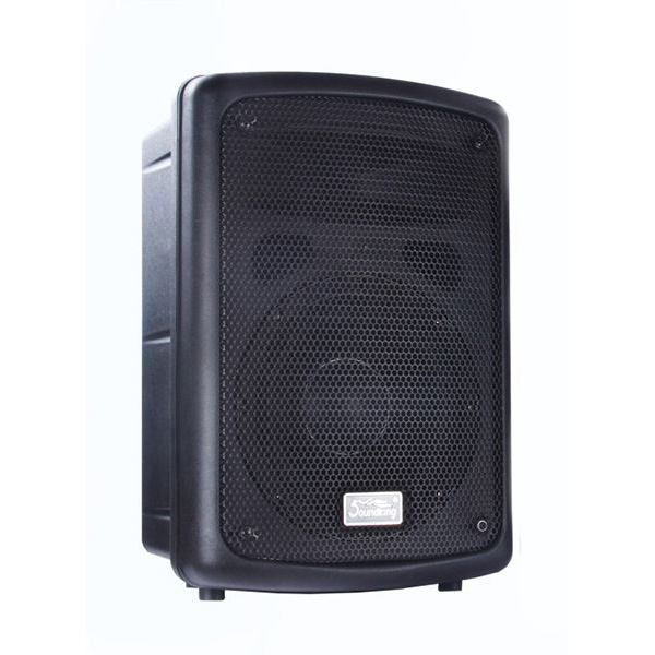 Soundking FP208-1A Клубная и концертная акустика