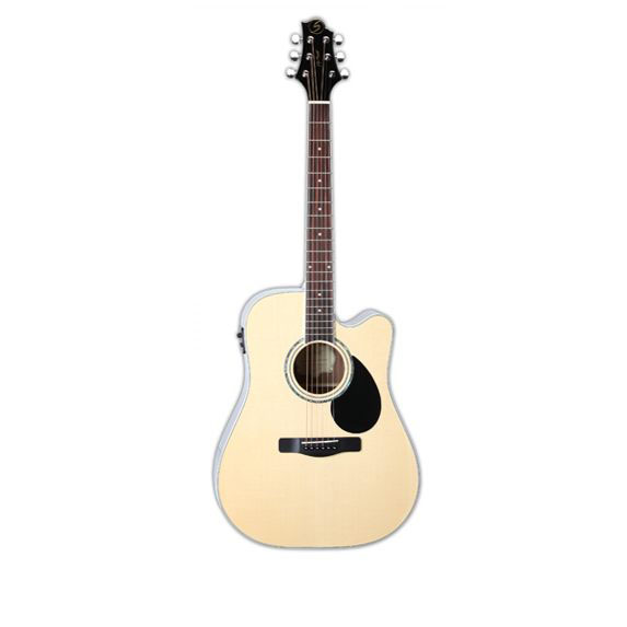 Greg Bennett GD101SCE/N Акустические гитары