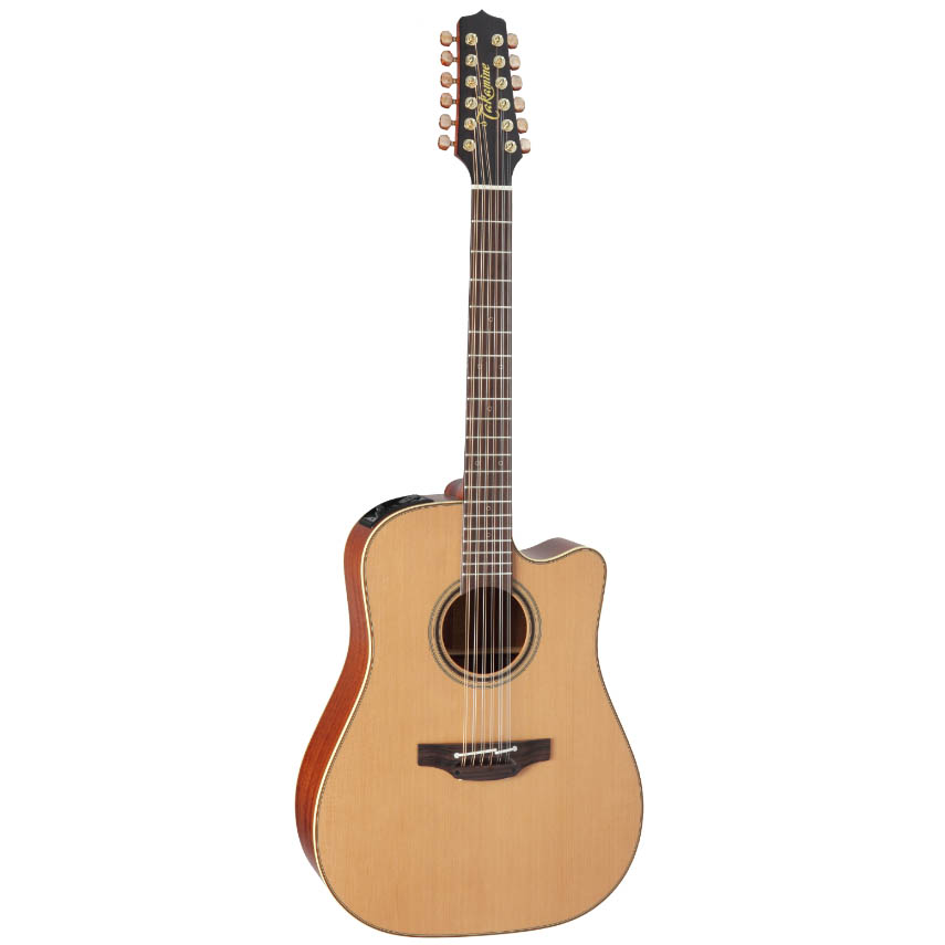 Takamine Pro Series 3 P3DC-12 Гитары акустические