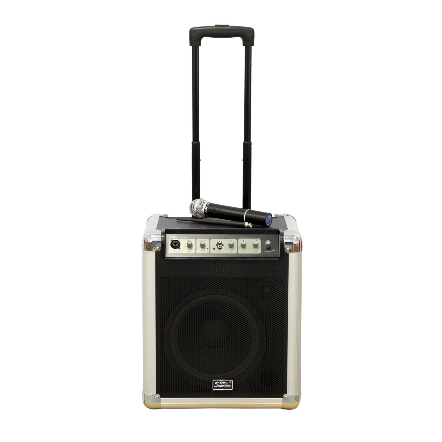 Soundking PA10W Портативные акустические системы