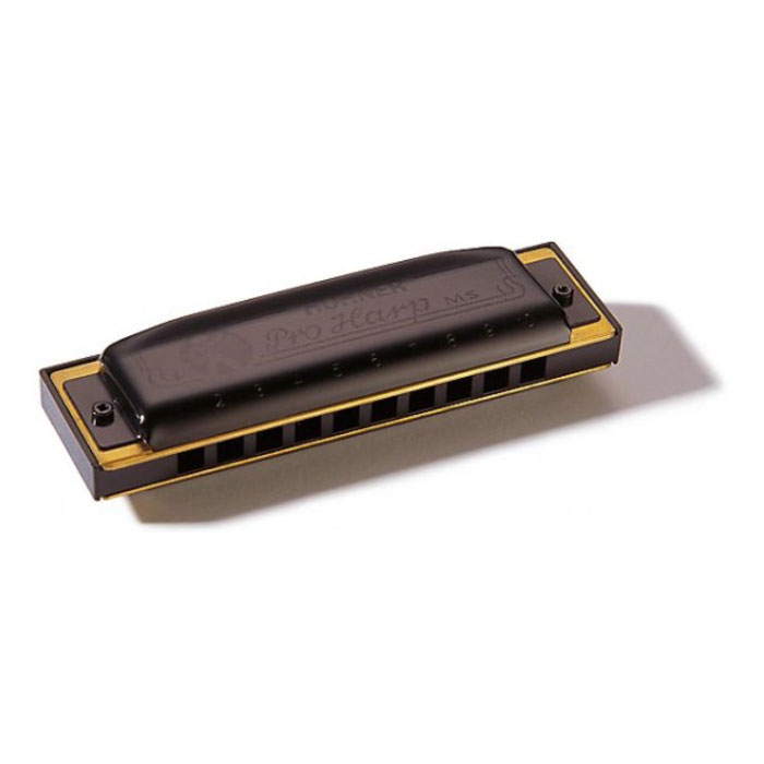 Hohner Pro Harp 562/20 MS G (M564086X) Hohner Pro Harp 562/20 MS G (M564086X) Духовые музыкальные инструменты