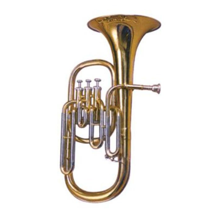 Maxtone TA-80 Духовые музыкальные инструменты