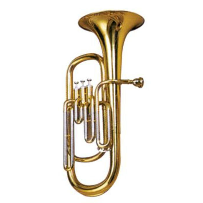 Maxtone TB-90 Духовые музыкальные инструменты