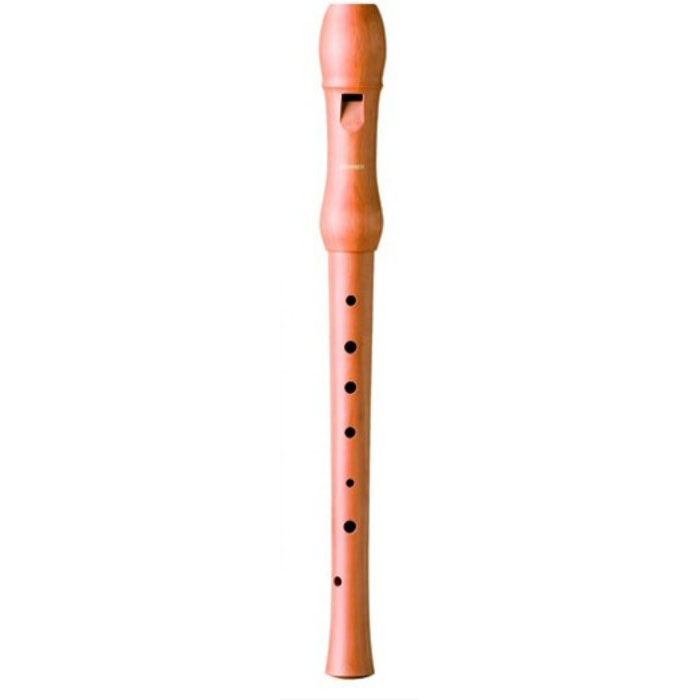 Hohner B9531 Hohner B9531 Духовые музыкальные инструменты