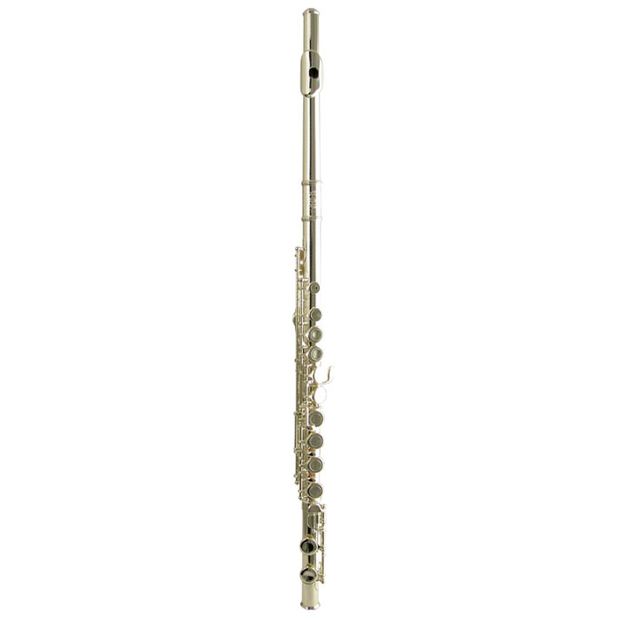 Wisemann DFL-385 Wisemann DFL-385 Духовые музыкальные инструменты