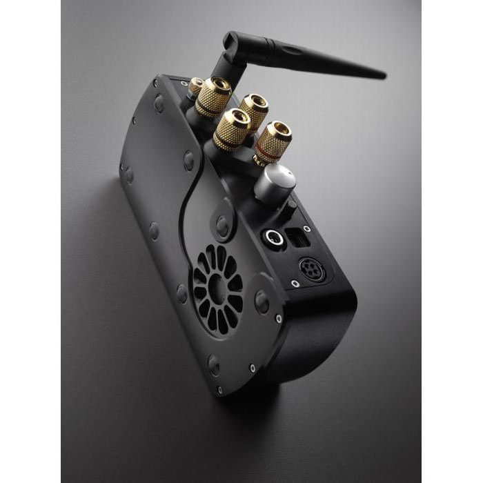 Chord Electronics Maxx Silver Усилители мощности