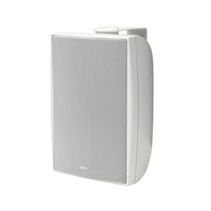 Tannoy DVS 4t White Трансляционное оборудование