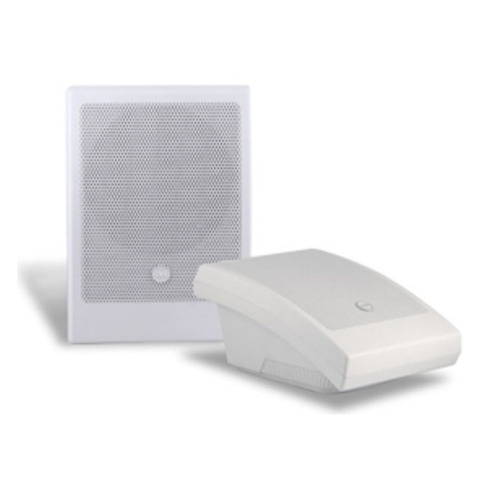 CVGaudio WPA10T Трансляционное оборудование
