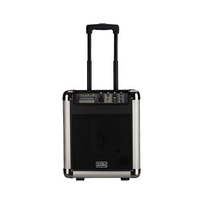 Soundking PA8M Клубная и концертная акустика
