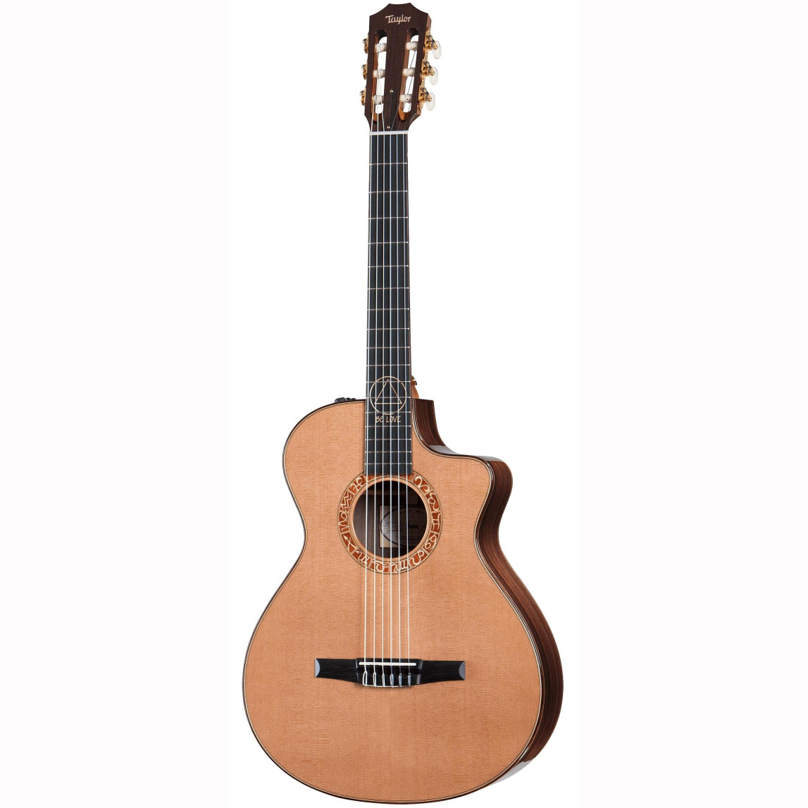 Taylor Jmsm Signature Series Nylon Taylor Jmsm Signature Series Nylon Классические гитары