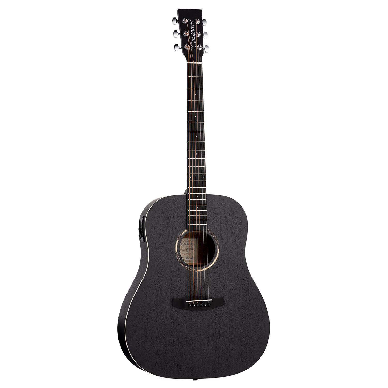 Tanglewood TWBB SD E Tanglewood TWBB SD E Акустические гитары