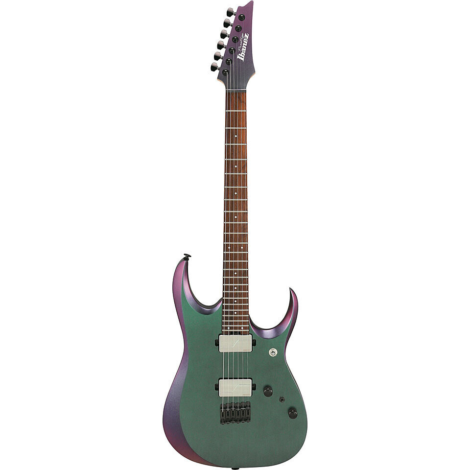 IBANEZ RGD3121-PRF Polar Lights Flat with Case Различное Музыкальное Оборудование