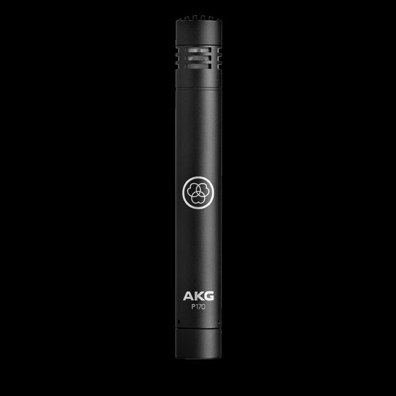 AKG P170 AKG P170 Конденсаторные микрофоны