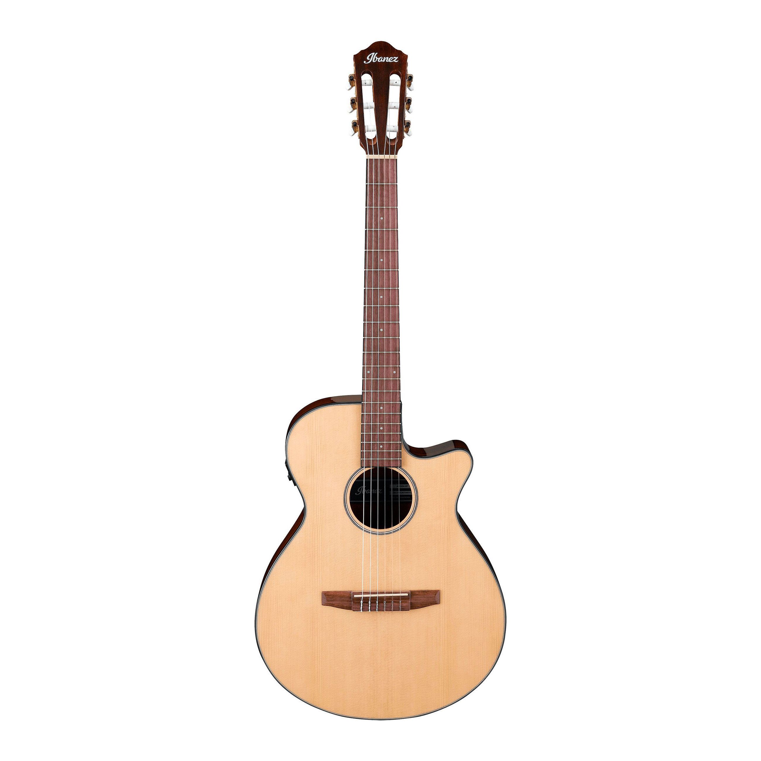 Ibanez AEG50N-NT Ibanez AEG50N-NT Классические гитары