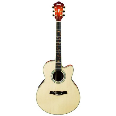 IBANEZ AEL40SE RLV Гитары акустические