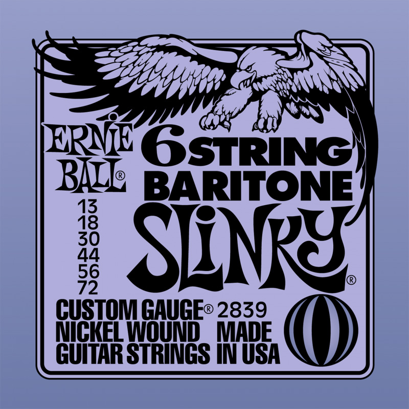 Ernie Ball P02839 Аксессуары для музыкальных инструментов