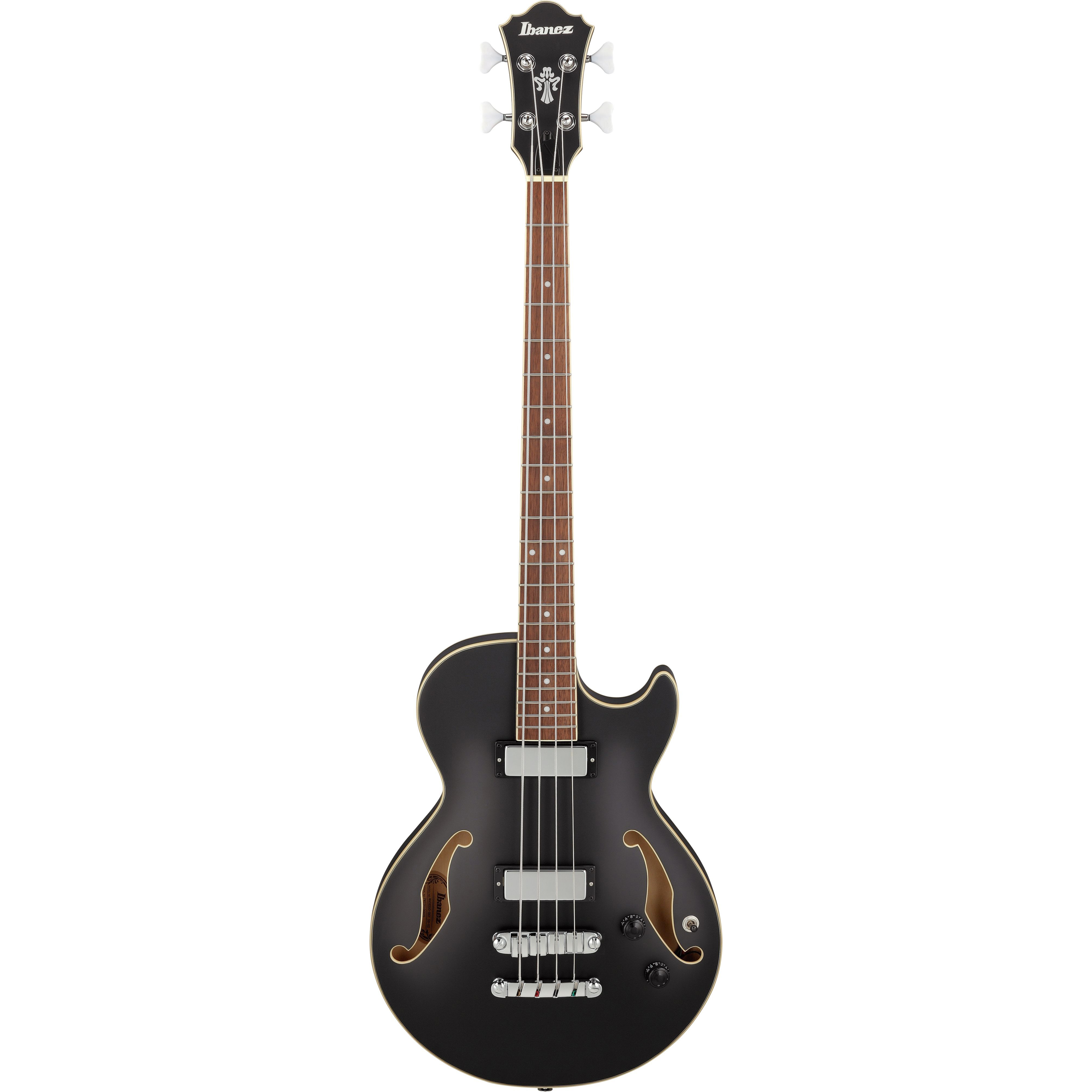 Ibanez AGB200-BKF Акустические бас-гитары