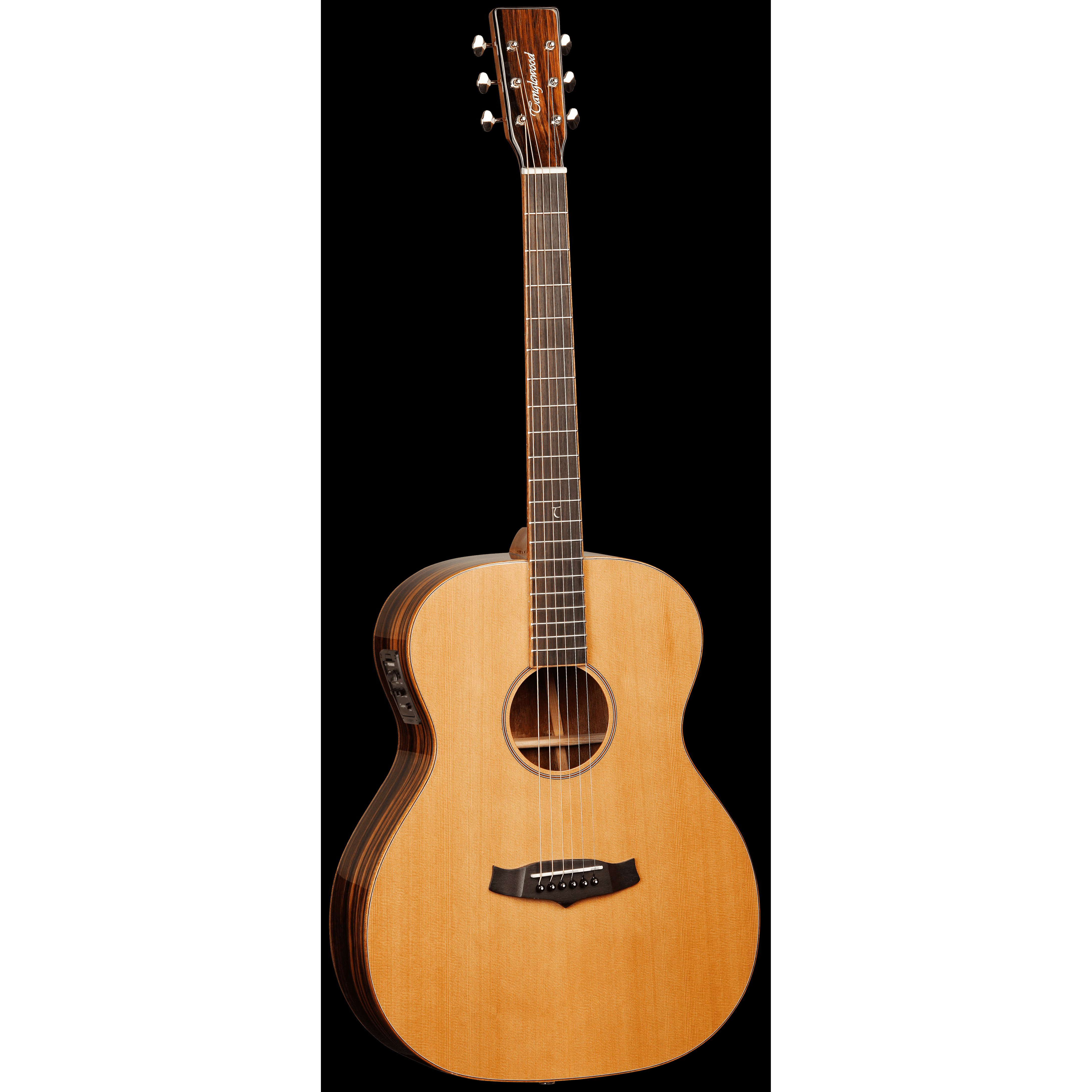 Tanglewood TWJF E Акустические гитары