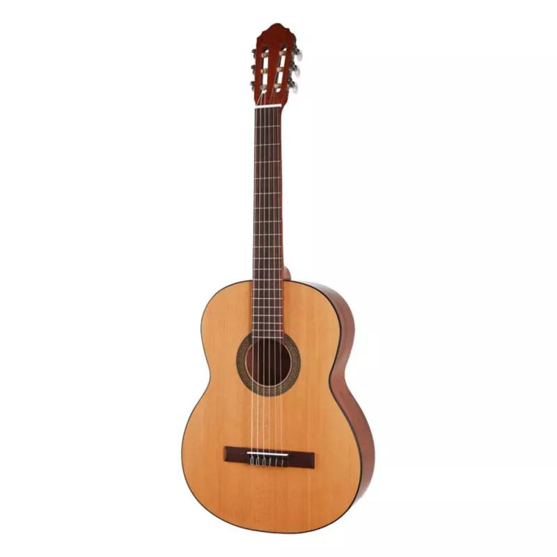 Cort AC100 SG BAG с чехлом Cort AC100 SG BAG с чехлом Классические гитары