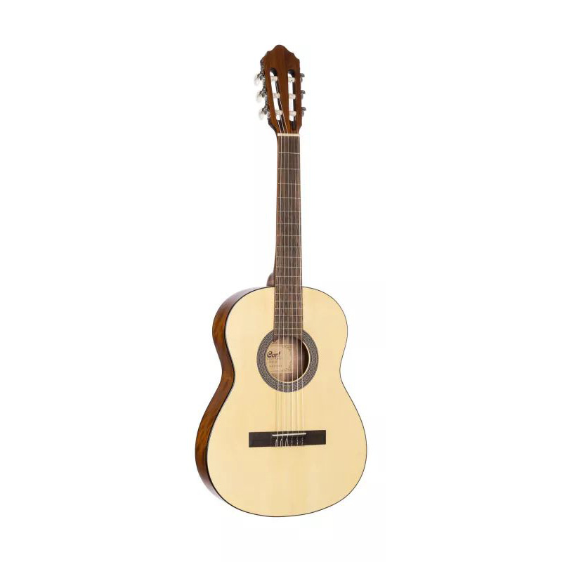 Cort AC70 OP bag Cort AC70 OP bag Классические гитары