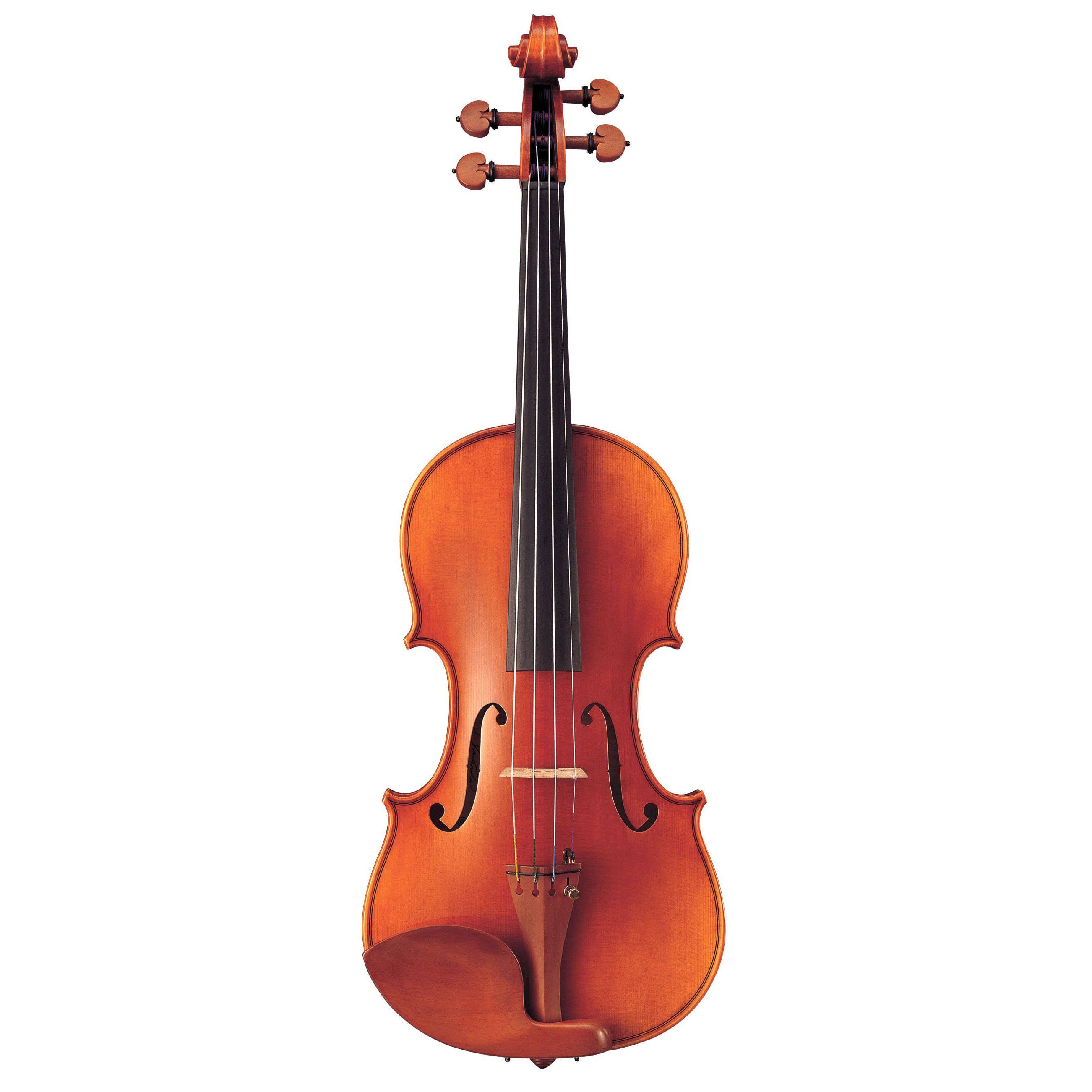 Yamaha V20G Yamaha V20G Смычковые инструменты