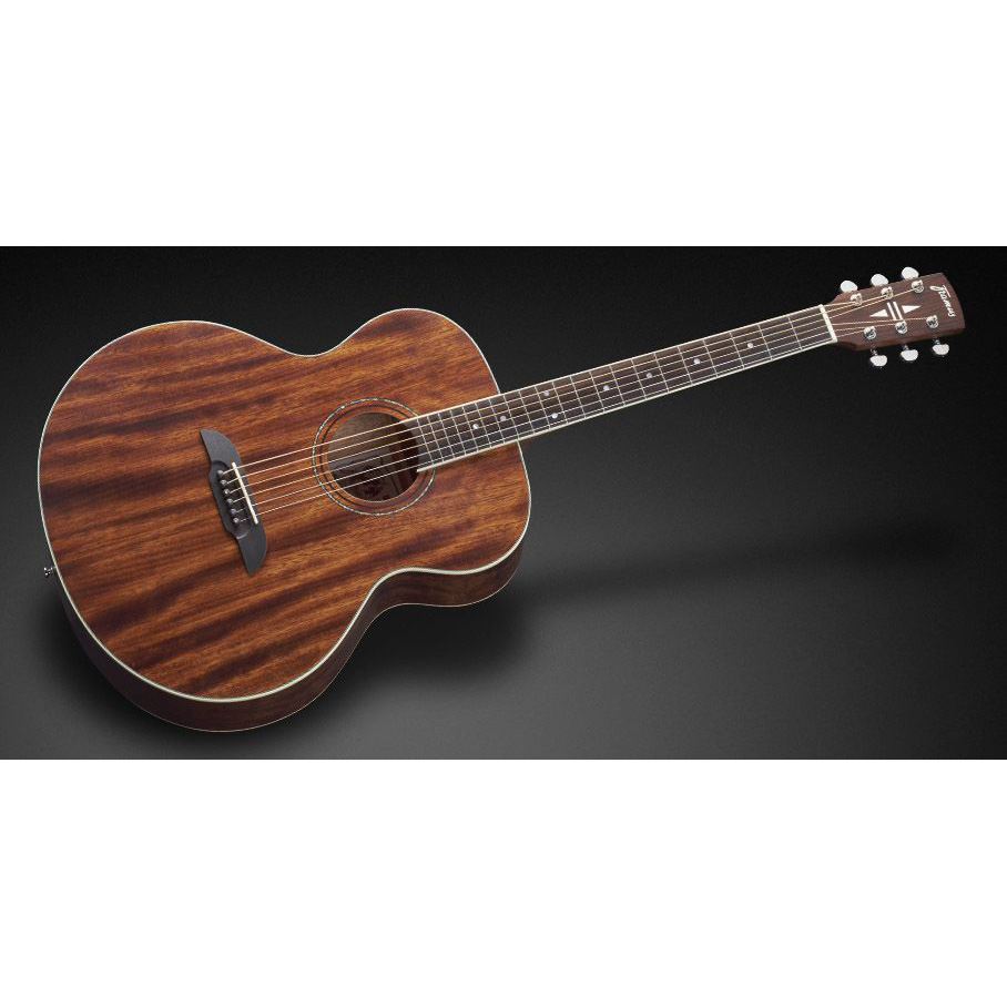 Framus FJ 14 M NS Гитары акустические