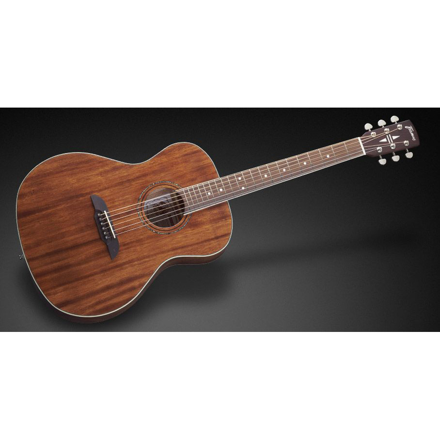 Framus FG 14 M NS Гитары акустические