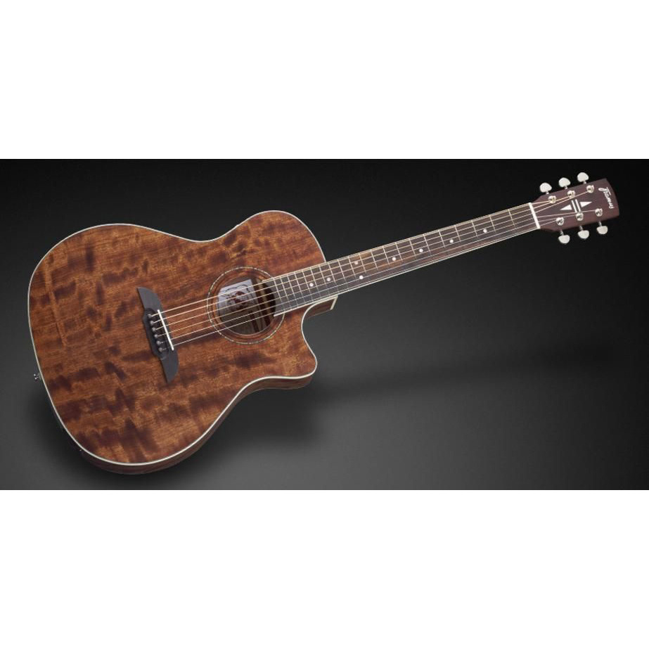 Framus FG 14 M NS CE Электрогитары