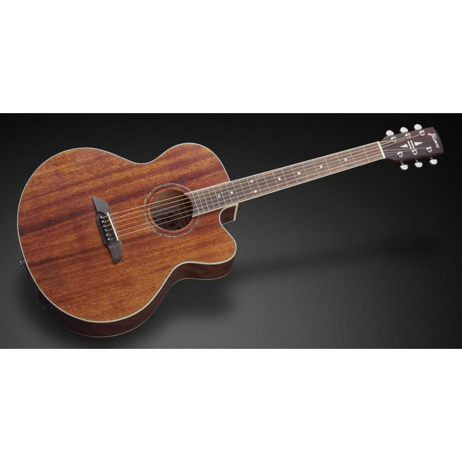 Framus FJ 14 M NS CE Электрогитары
