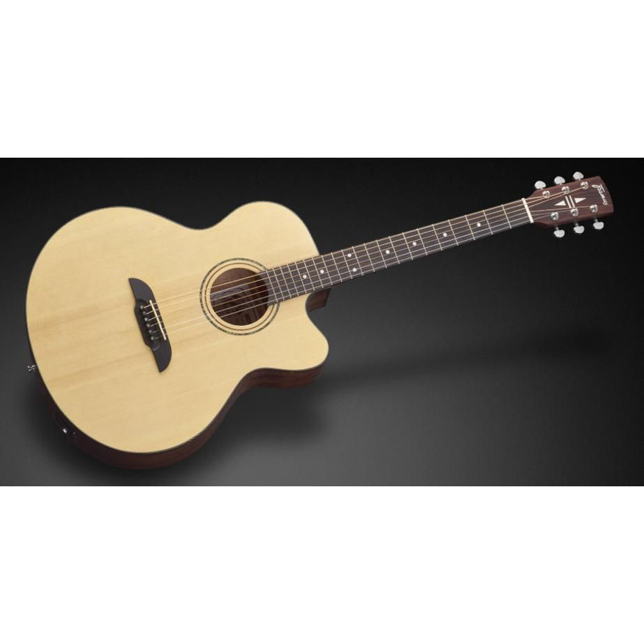 Framus FJ 14 SV VSNT CE Электрогитары