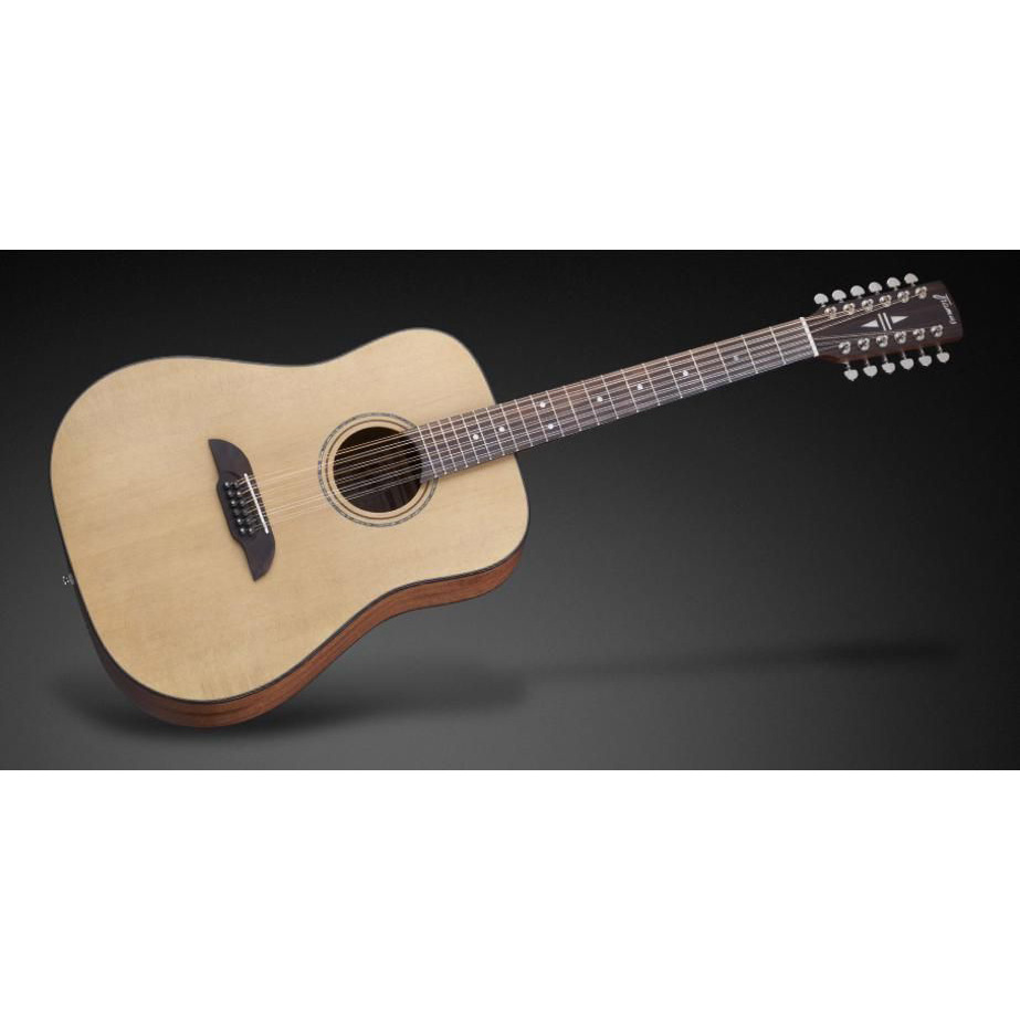 Framus FD 14 SV VSNT 12 Гитары акустические