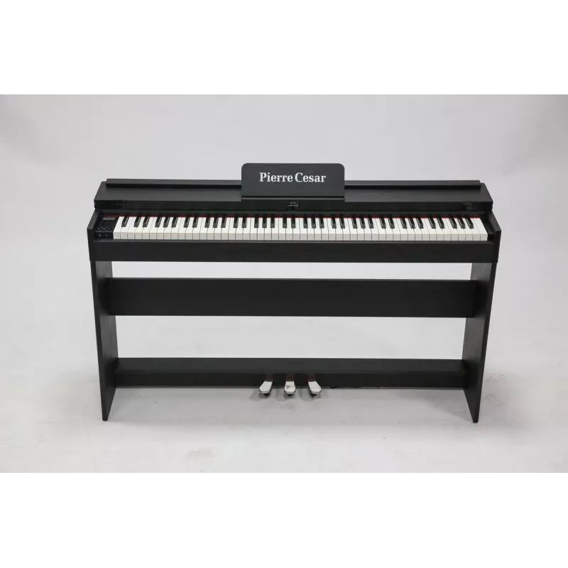 Pierre Cesar DP-12-H-BK Pierre Cesar DP-12-H-BK Цифровые пианино