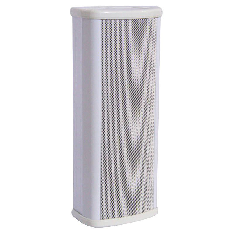 DSSCL-110 DSSCL-110 Трансляционное оборудование