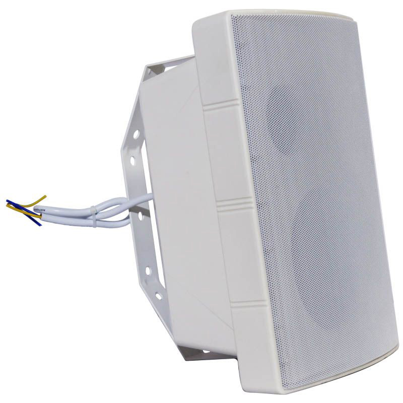 DSSWS-615W Трансляционное оборудование