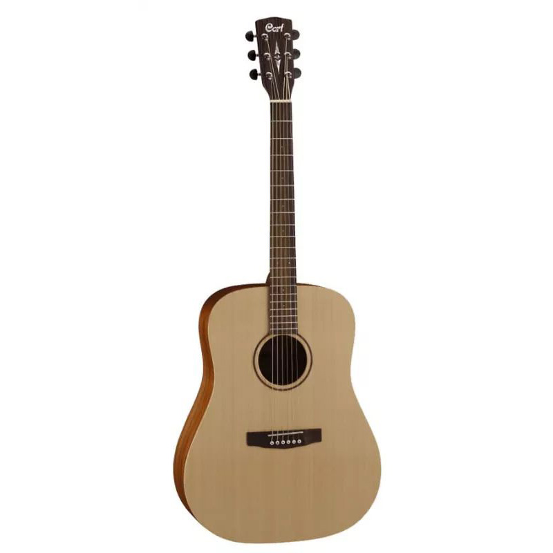 Cort Earth-Grand OP bag Cort Earth-Grand OP bag Гитары акустические