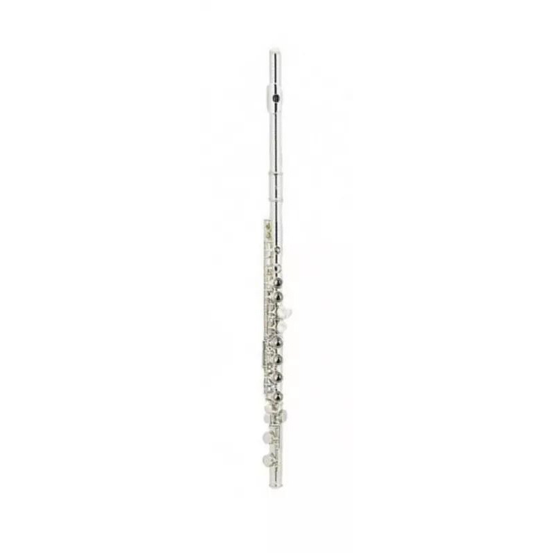 Pierre Cesar JBFL-6237S Флейты
