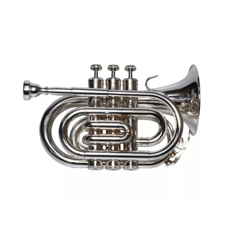 Pierre Cesar JBMT-500S Трубы и прочие духовые