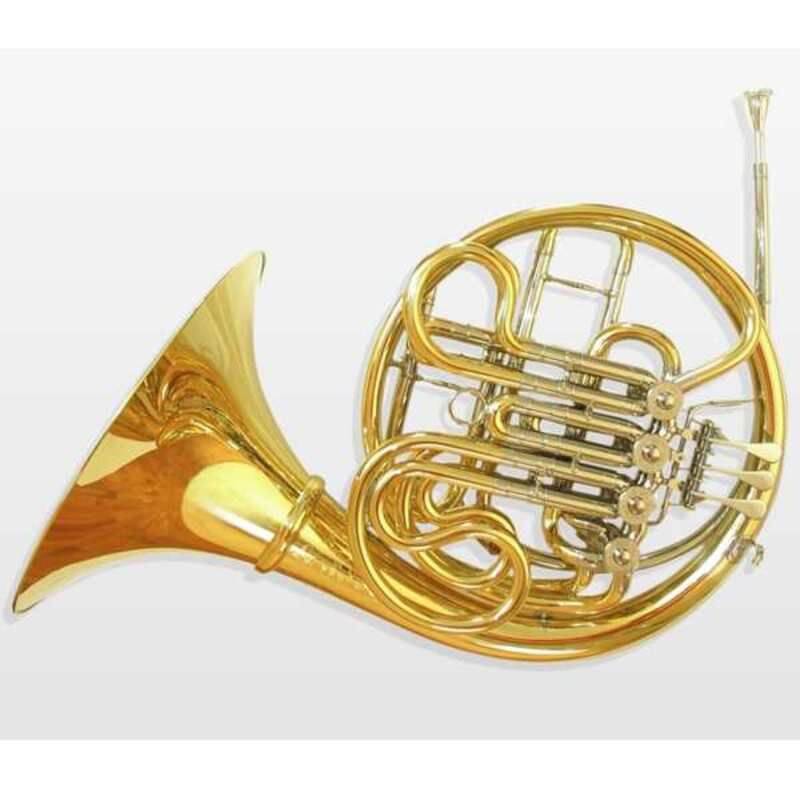 E.Schmid YB DOUBLE HORN DB E.Schmid YB DOUBLE HORN DB Духовые музыкальные инструменты