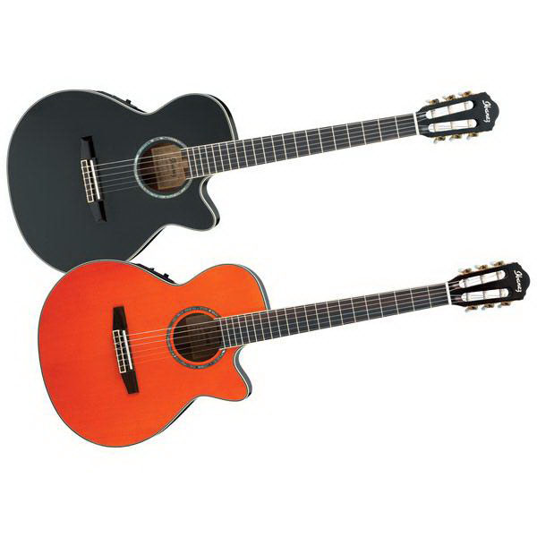 Ibanez AW54CE-OPN Гитары акустические