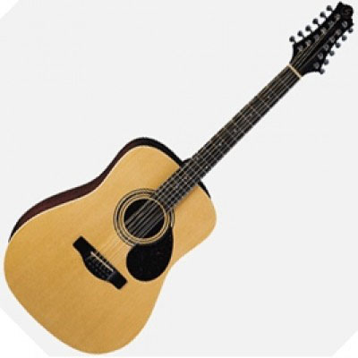 GregBennett D2/12 GregBennett D2/12 Акустические гитары