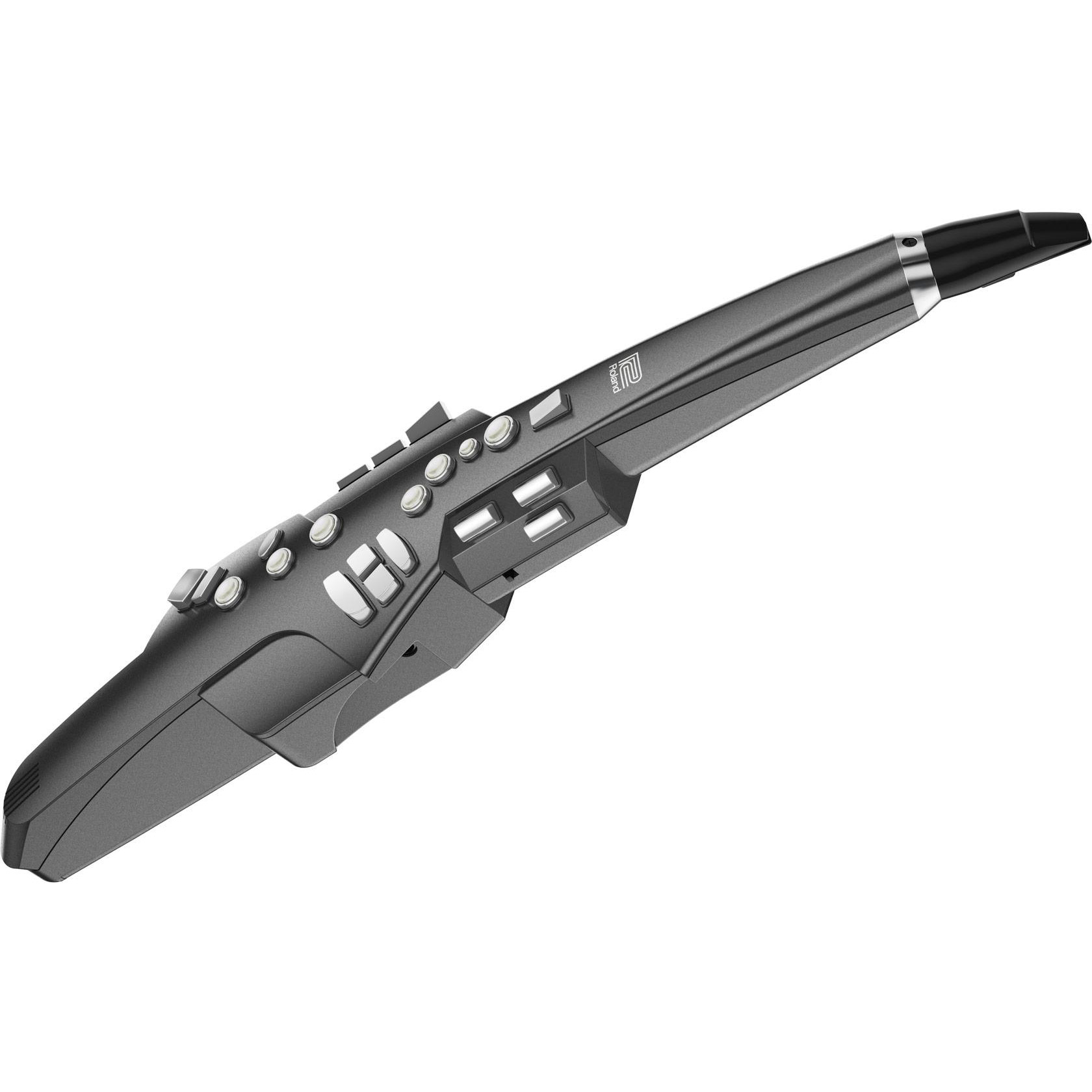 Roland AE-10G Духовые музыкальные инструменты