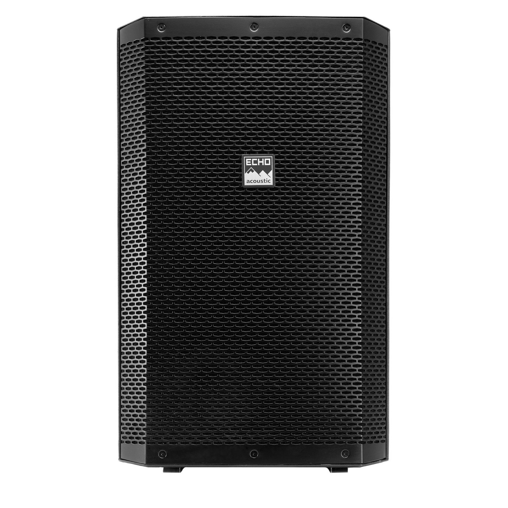 Echo Acoustic EX115P Echo Acoustic EX115P Клубная и концертная акустика