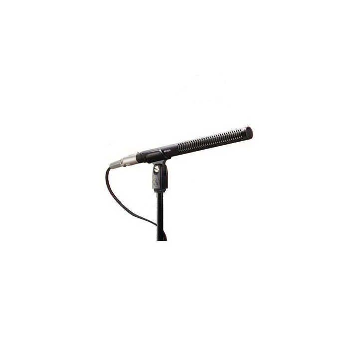 Audio-Technica BP4029 Конденсаторные микрофоны